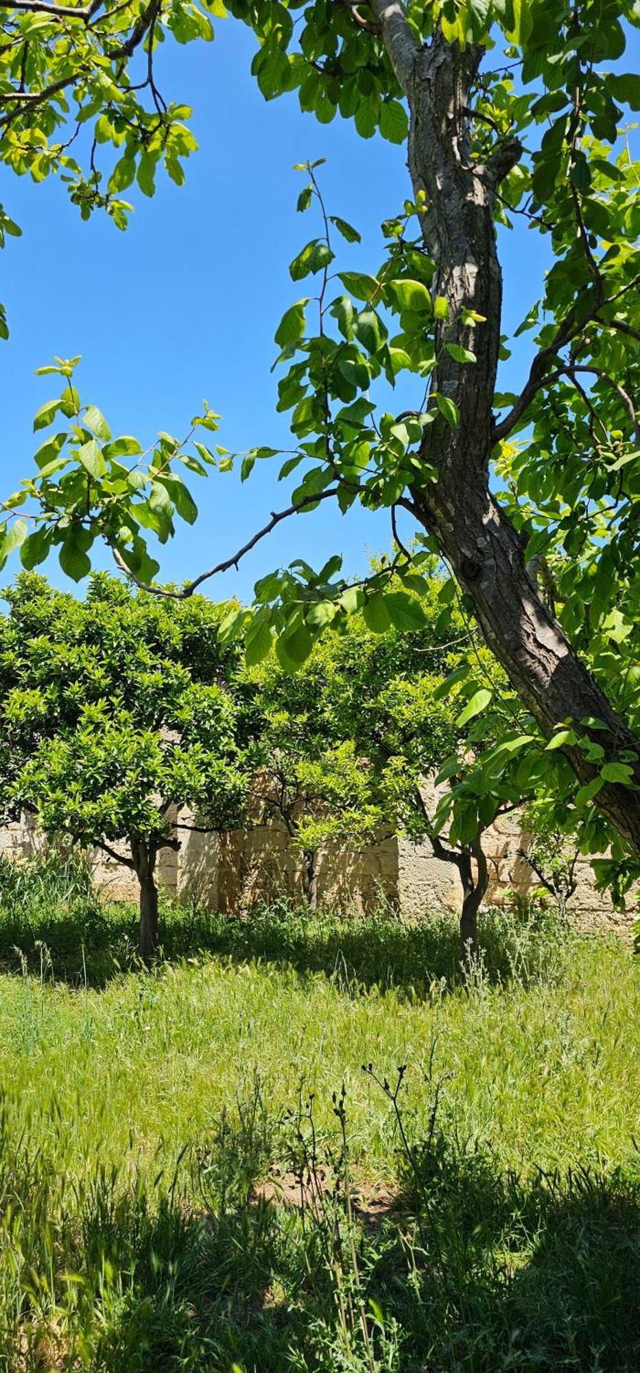 Masseria Vivi Il Salento Santa Caterina  Exterior photo